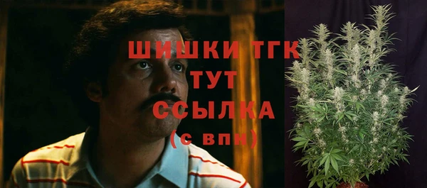 шишки Вяземский