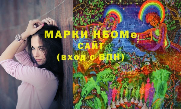 шишки Вяземский